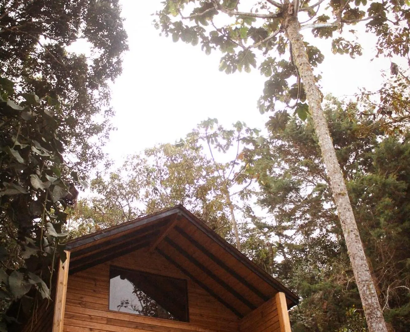 Vital Ecohotel Cabanas Guarne 0*,